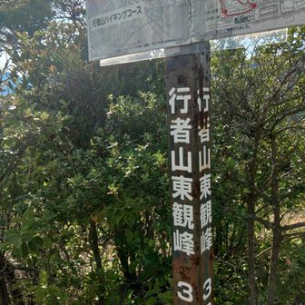 行者山東観峰のピークをゲット、後は下りるだけです。