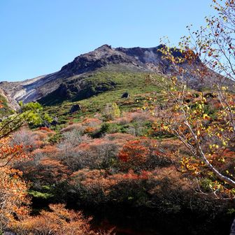 ひょうたん池の木道は工事中でリフレクション撮れませんでした。😢