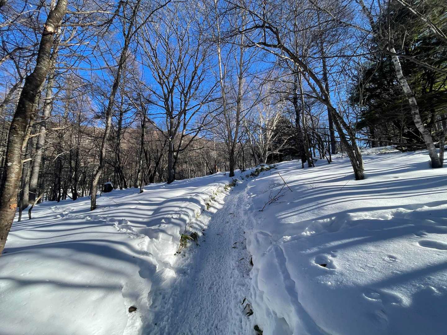 序盤は圧雪された平坦な道🎶