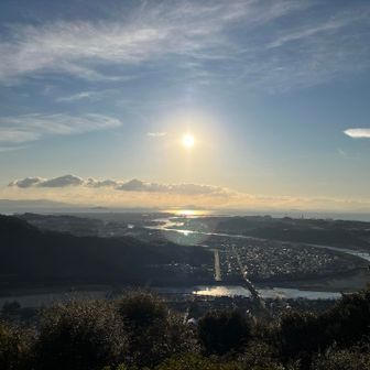 ロープウェイの列に並んでいる大きな猫を発見！