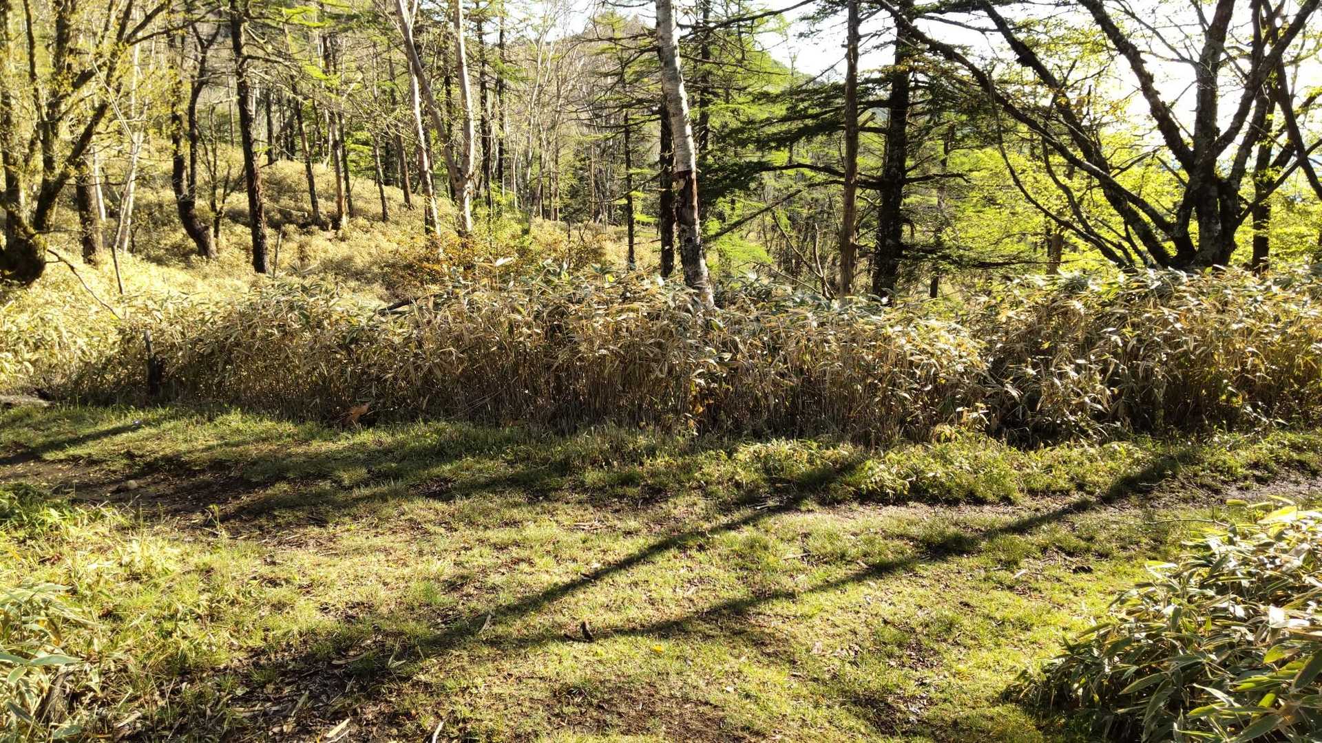 右は将監峠へ。
左に進んで山の神土。