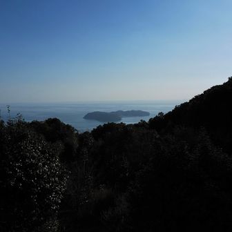 神社近くの遥拝所から今朝行った沼島がよく見えました