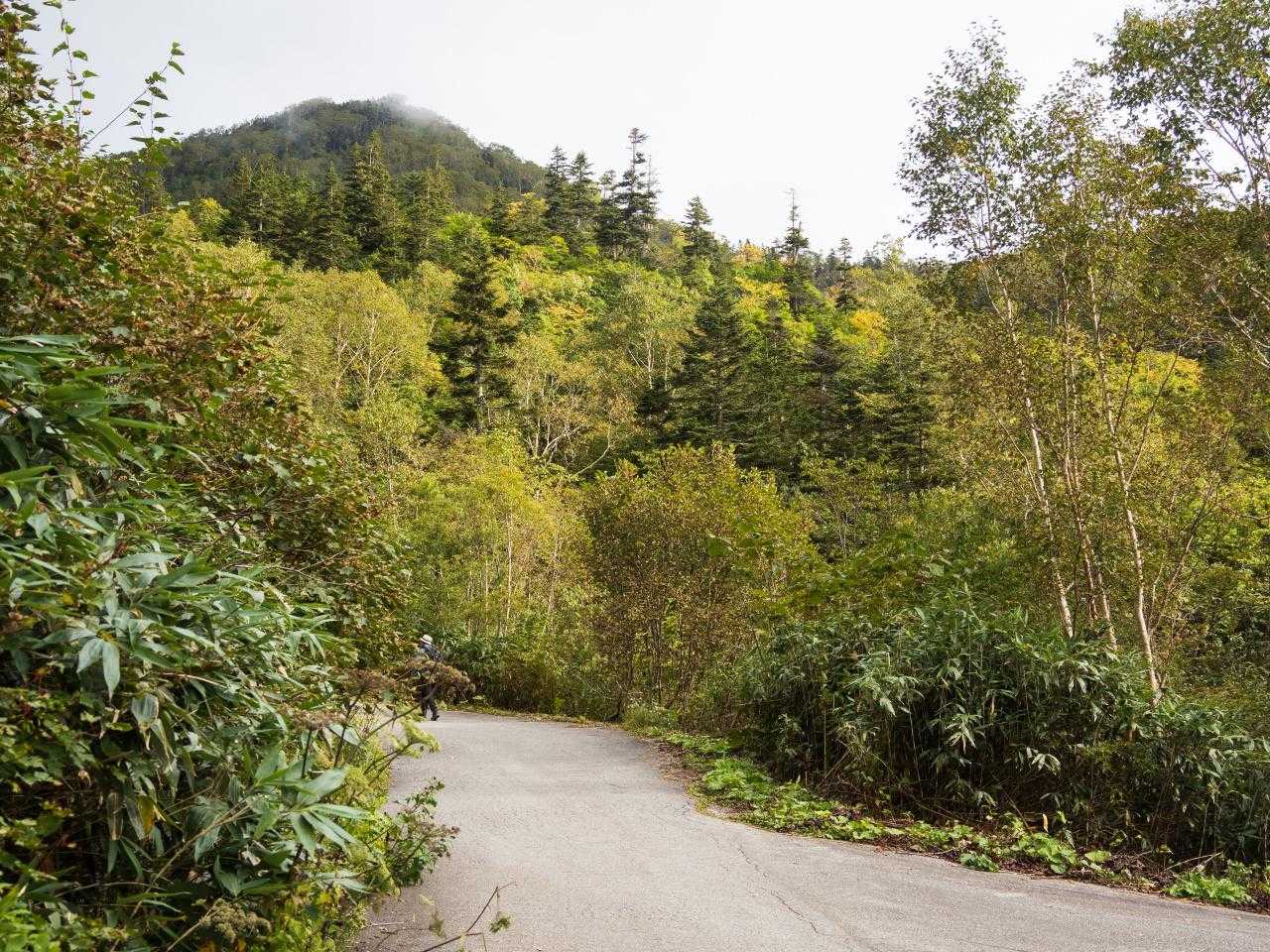 ロープウェイは2便目に乗れた。登山口を目指して道路を歩いていく。