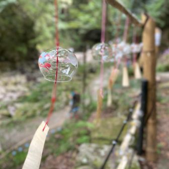 この場所だけ少し風が吹いてて揺れてた🎐