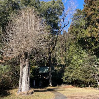 なかなかの雰囲気です。