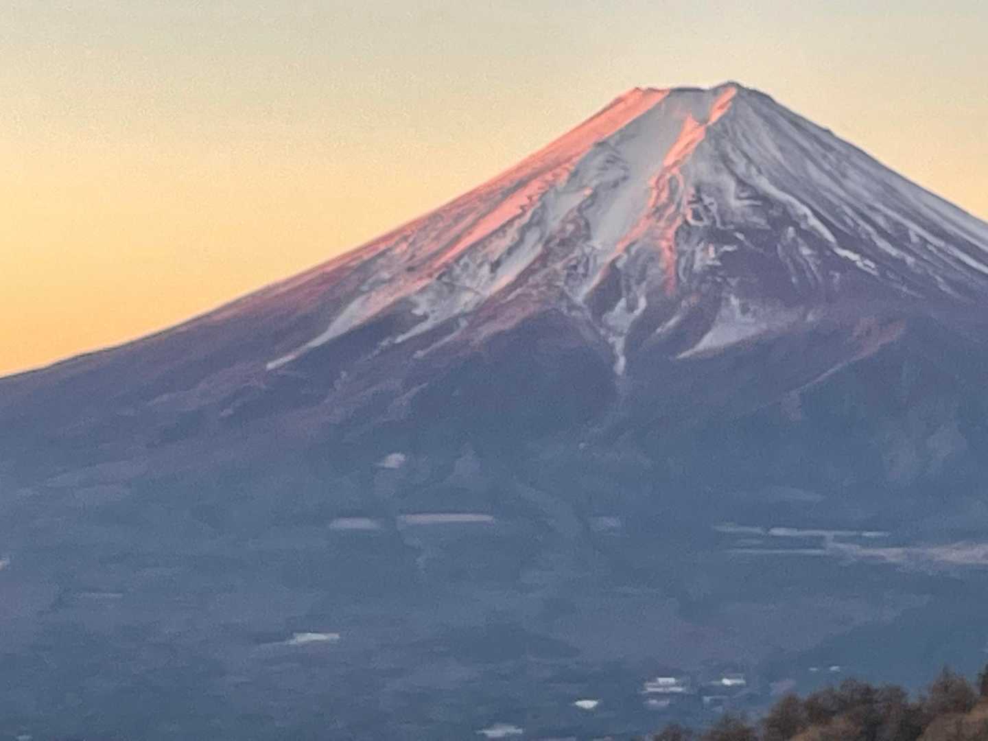 これこれー✨