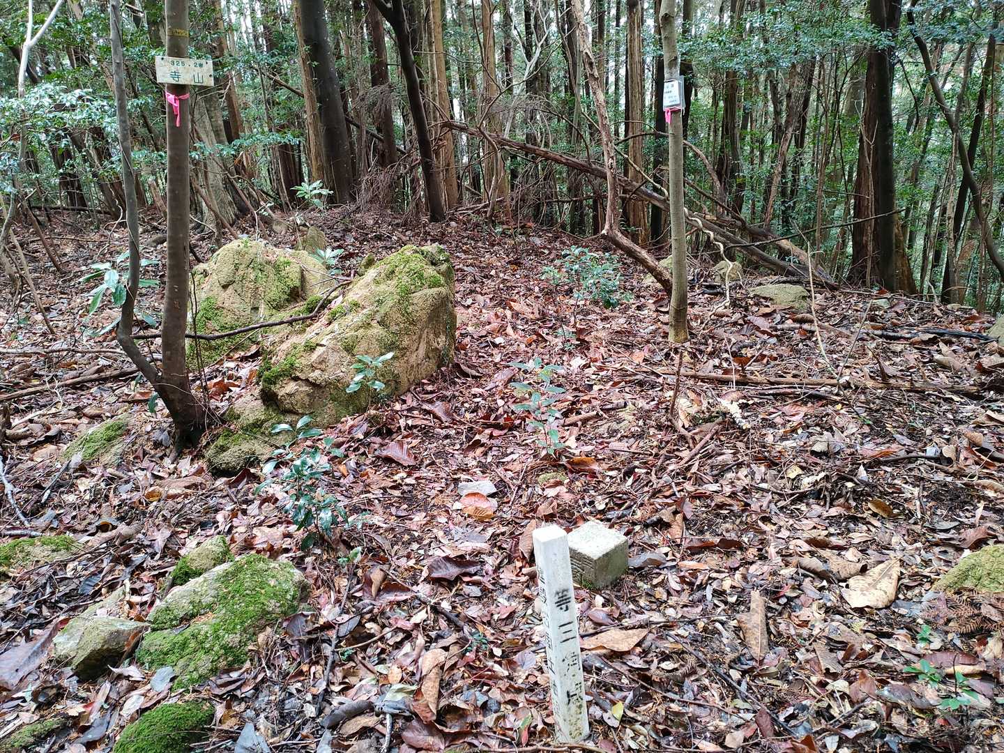 着いたぞ〜山頂。