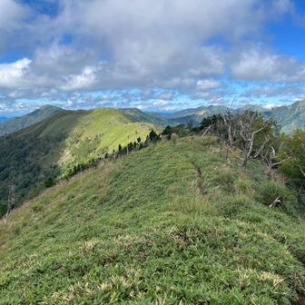 石立山方面分岐を過ぎた所から
三嶺縦走を､ 今回はこちらには行かず
