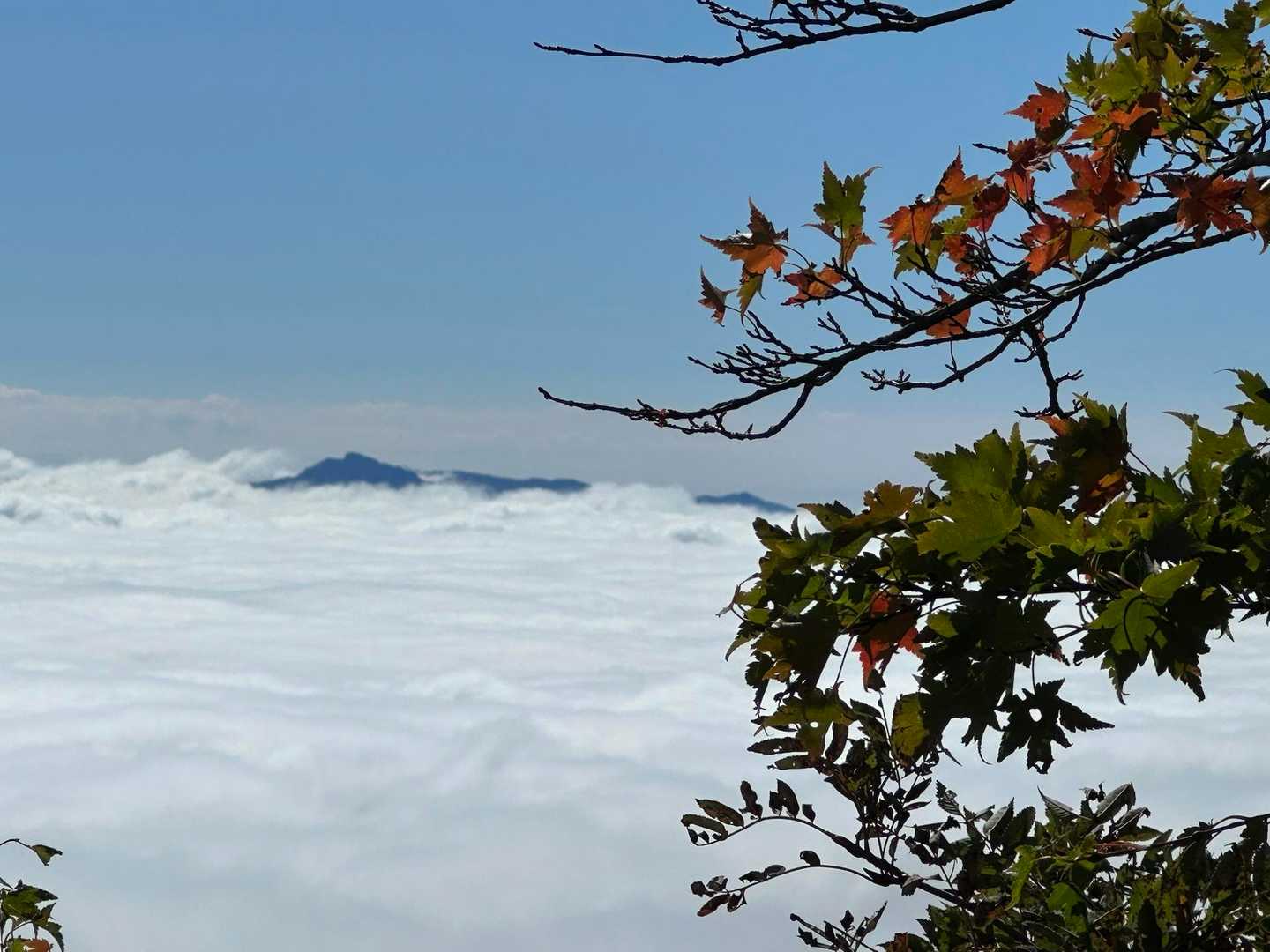 雲海 すごいー
この時間に 珍しい 😮

遠くには祖母山 ⛰️