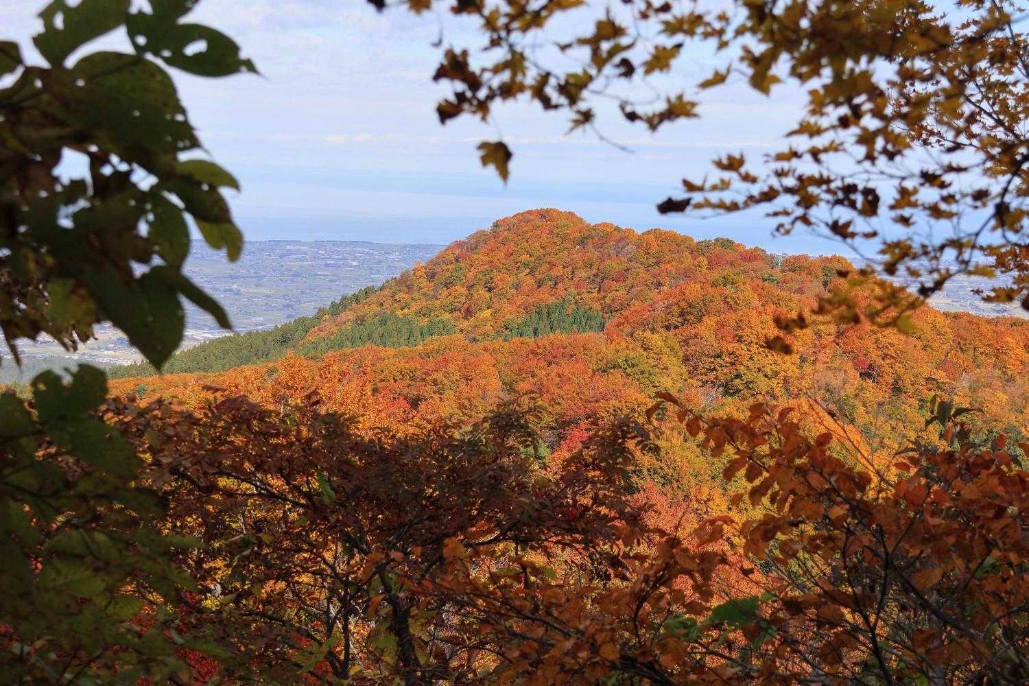 鋲ヶ岳🧡