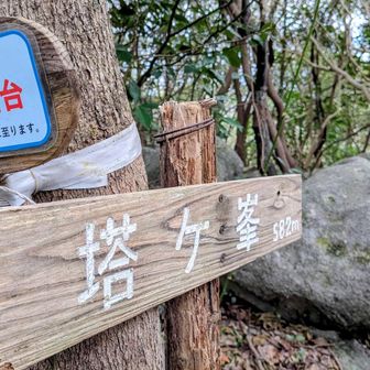 ②塔ヶ峰
ここのピークは取らなくても良かったかも🤣