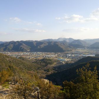 近づいてきたかな