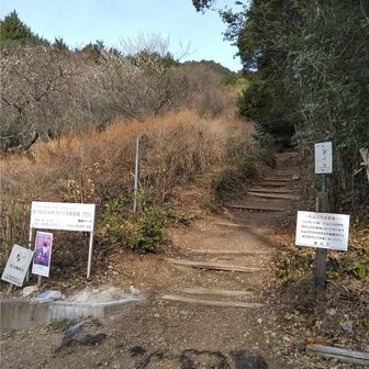 健脚コース登山口