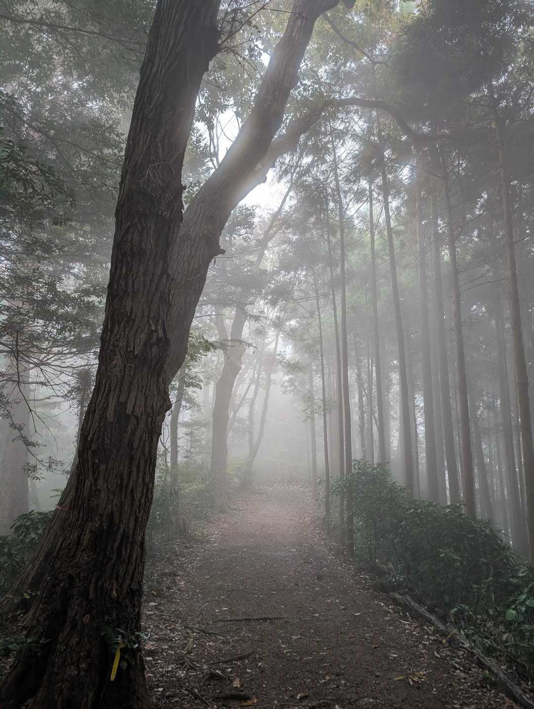 あの世の入口でしょうか