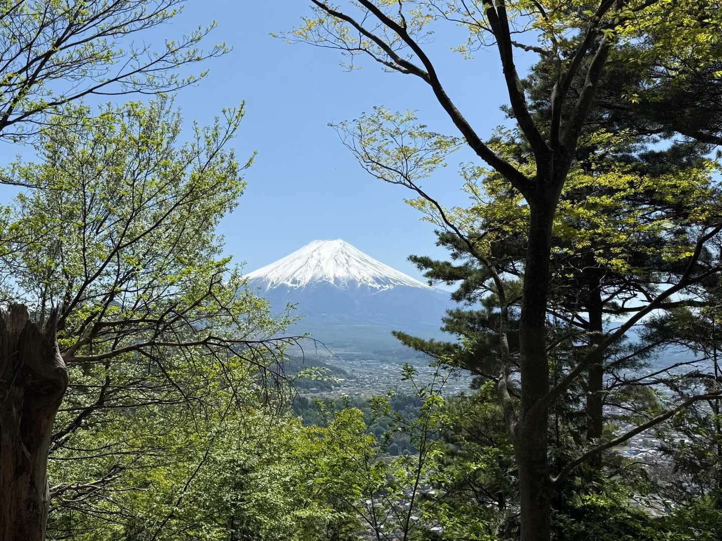 隙間から見える富士山🗻をいちいち立ち止まって写真を撮る🤭