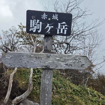 頂上に着くと周りはガスってしまう