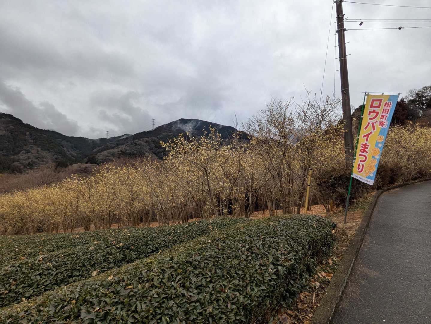 結構人が来てました