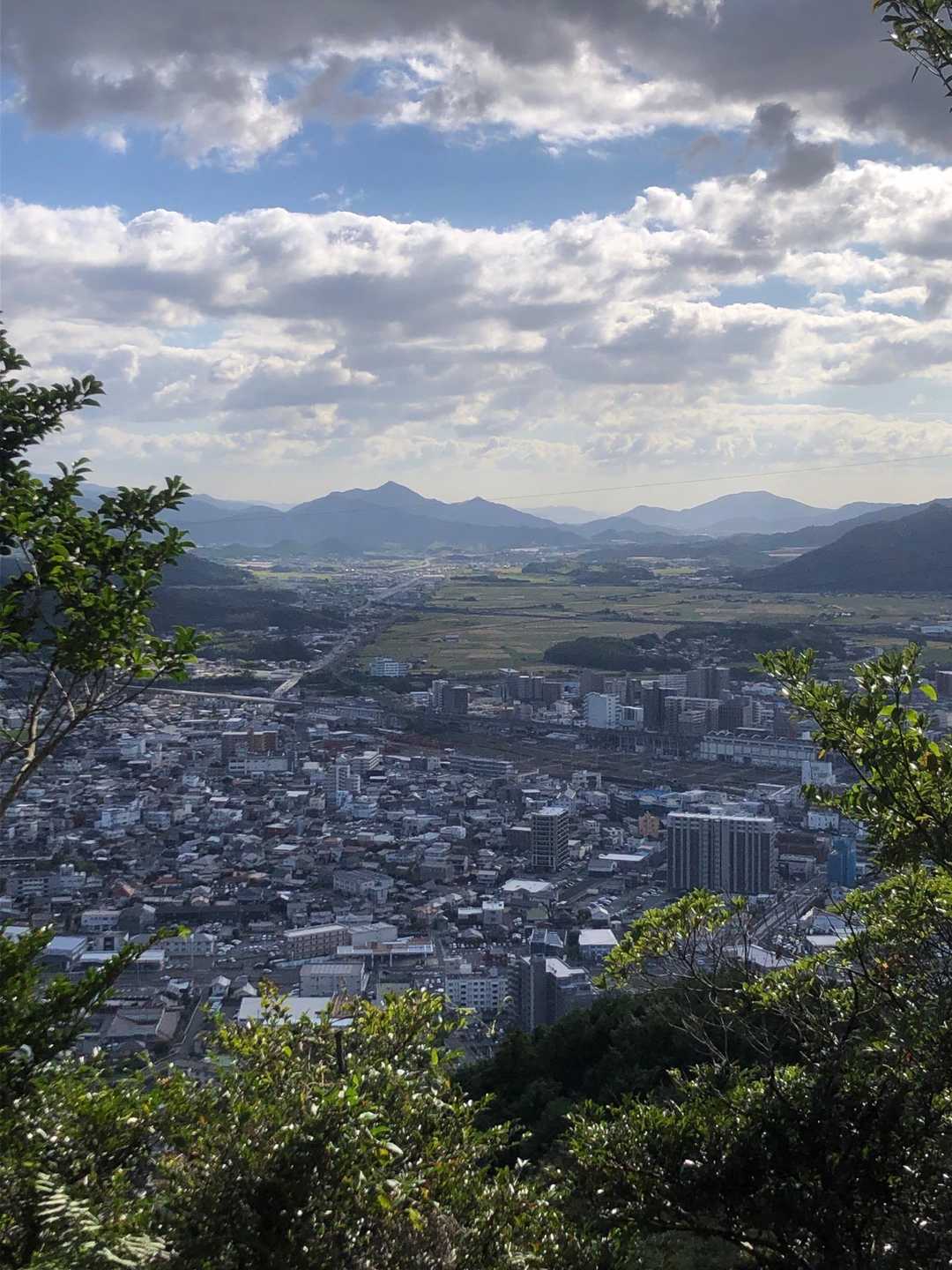 禅定寺山 往復コースの写真