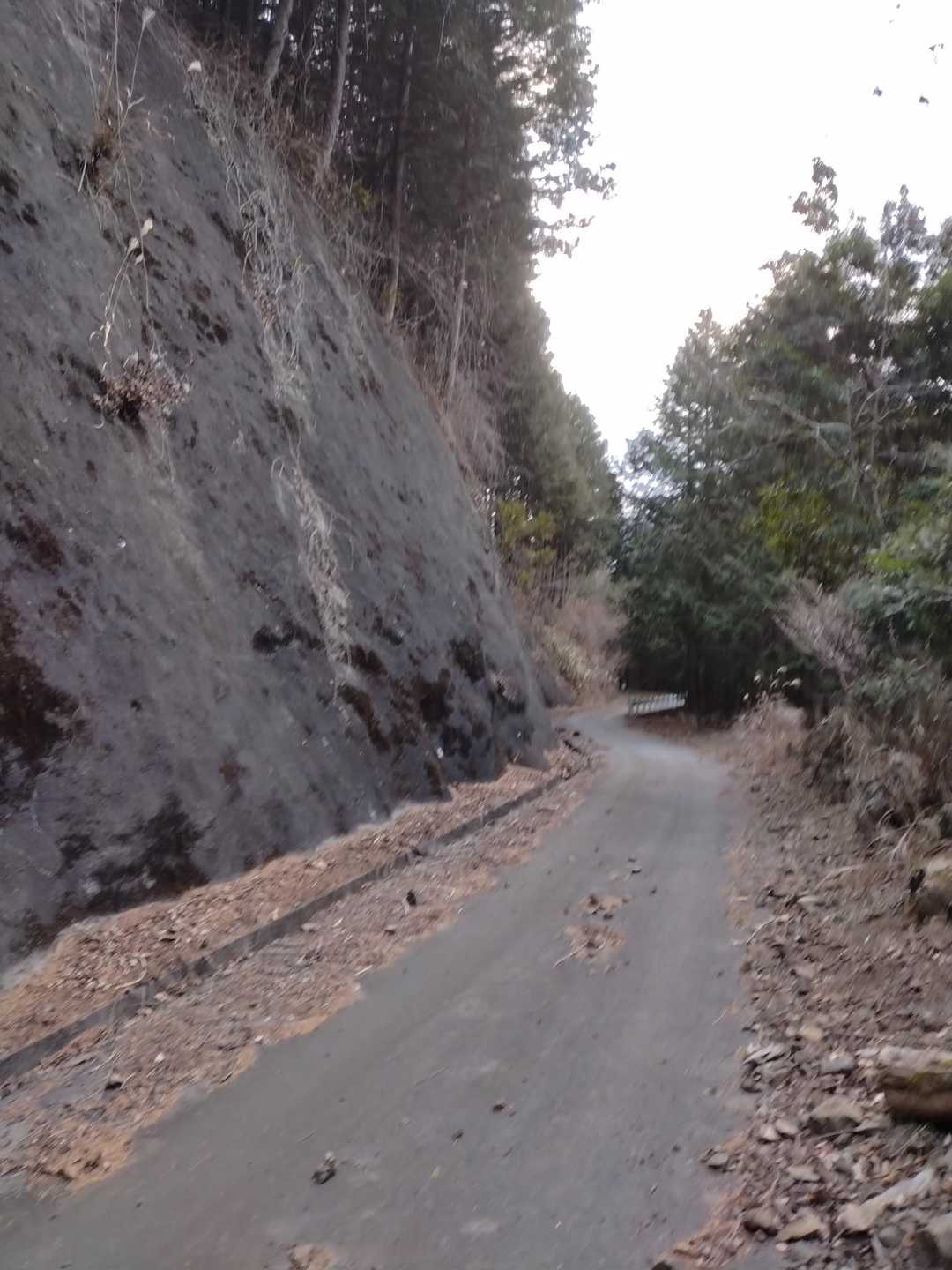 更に小径の林道が続き…