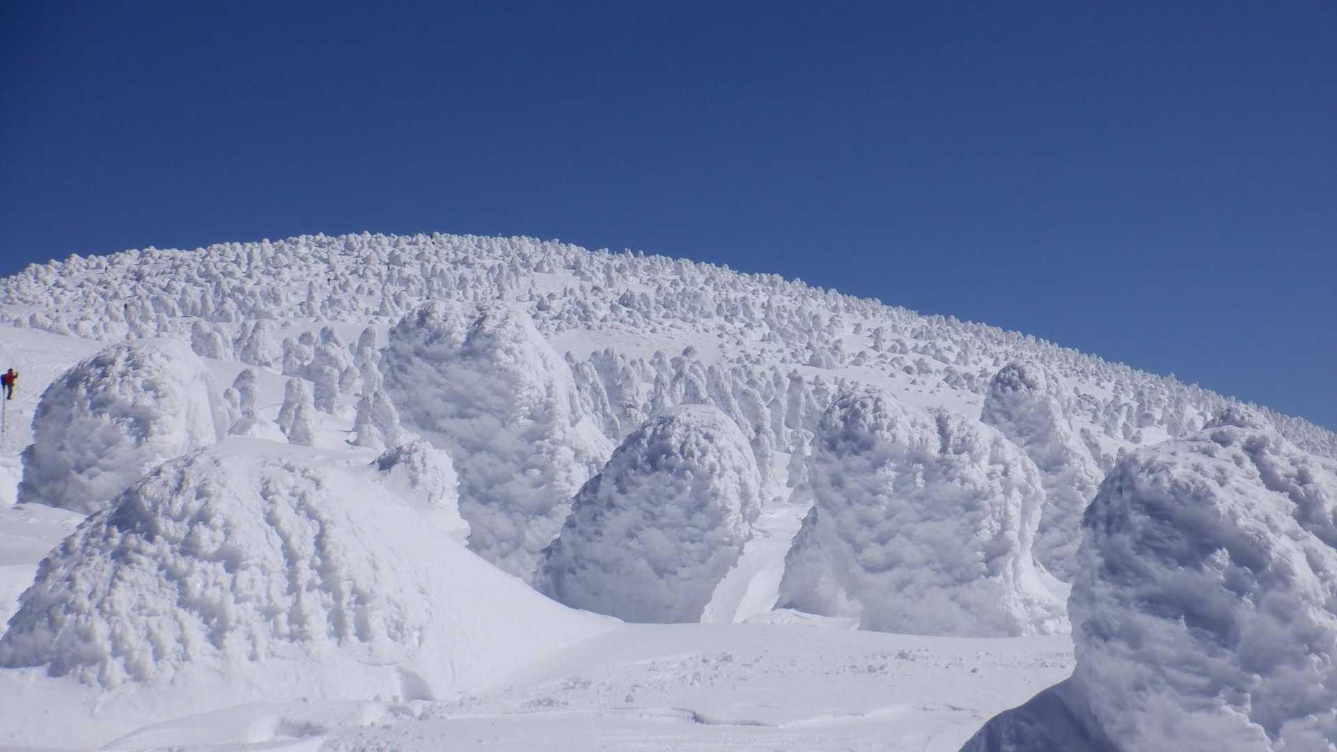 西大巓 往復コースの写真
