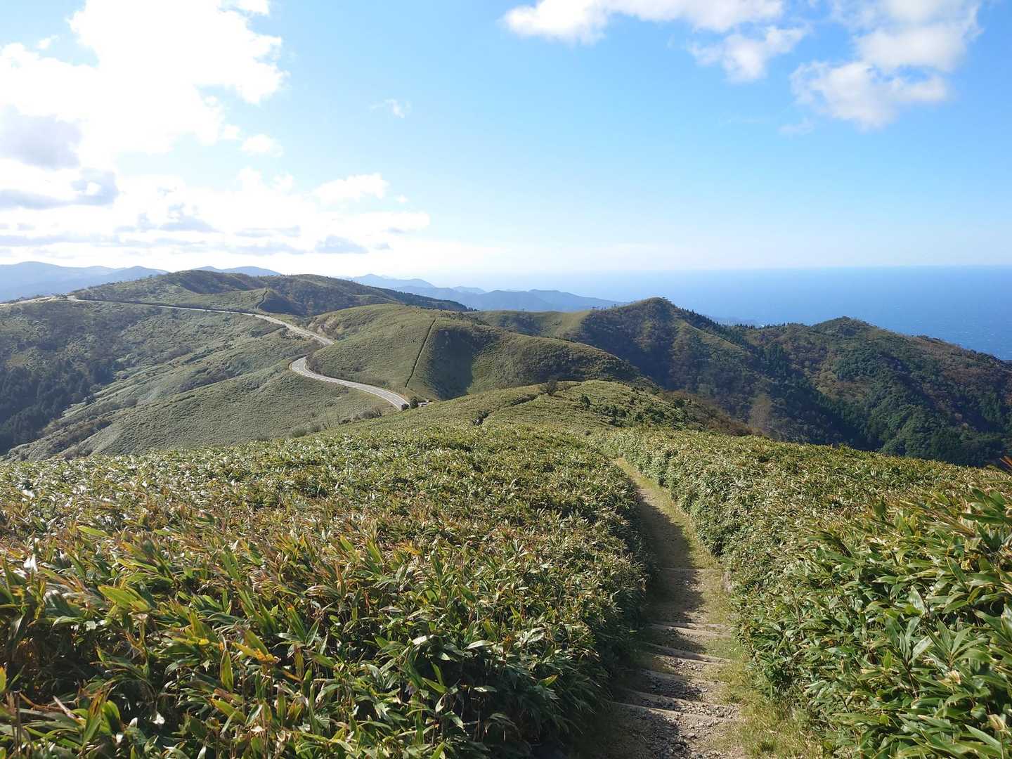 またまた振り返ると古稀山▲
この後は写真撮るの忘れるほど気持ちよくトレランしちゃいました😁👍