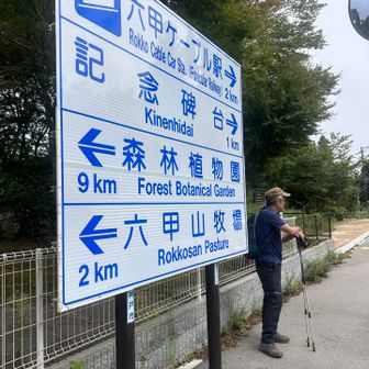 しばらく道路やね