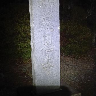 毎年、建国の日である8/15にはジオニストが集まるとか集まらないとか…