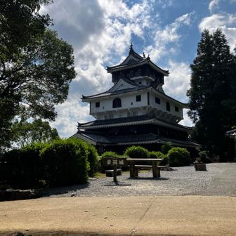 下からしっかり見えたのに意外と小さめ