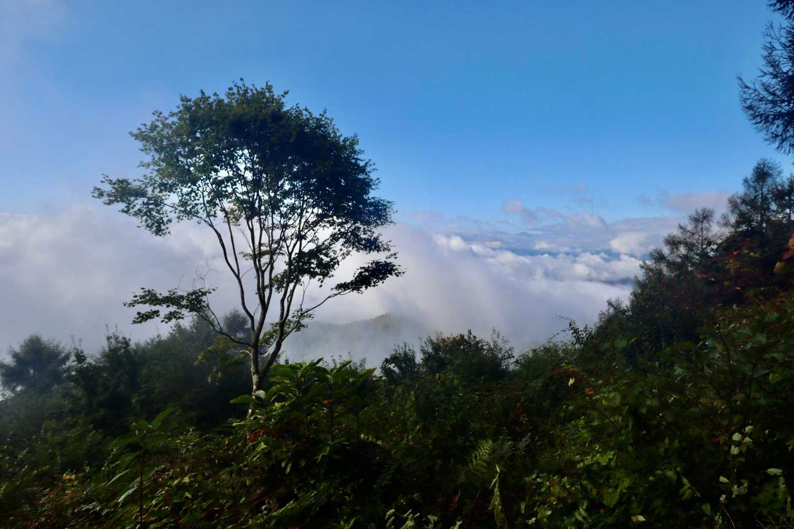 晴れてるけど山々は見えず