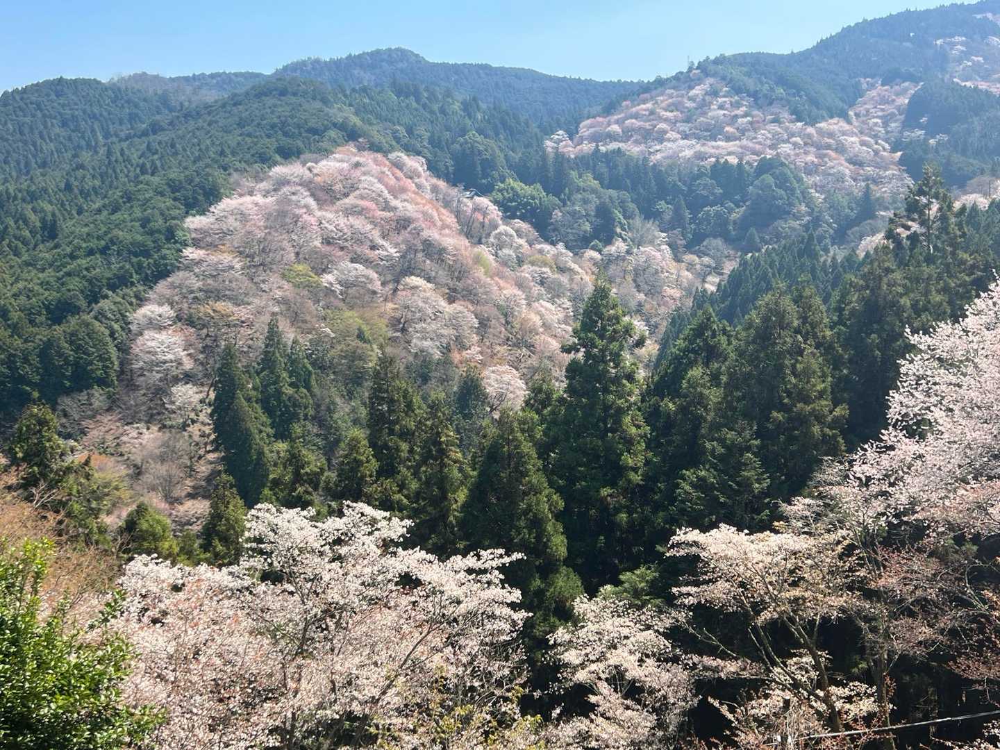 吉野駅-金峯山寺-韋駄天山-吉水神社-吉野水分神社-高城山 往復コースの写真