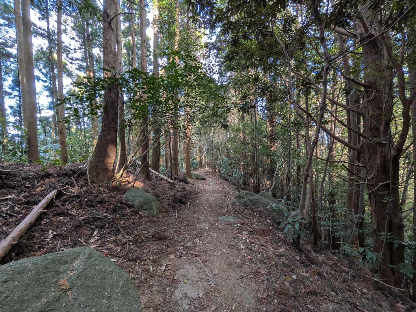 踏み固められた歩きやすい登山道
