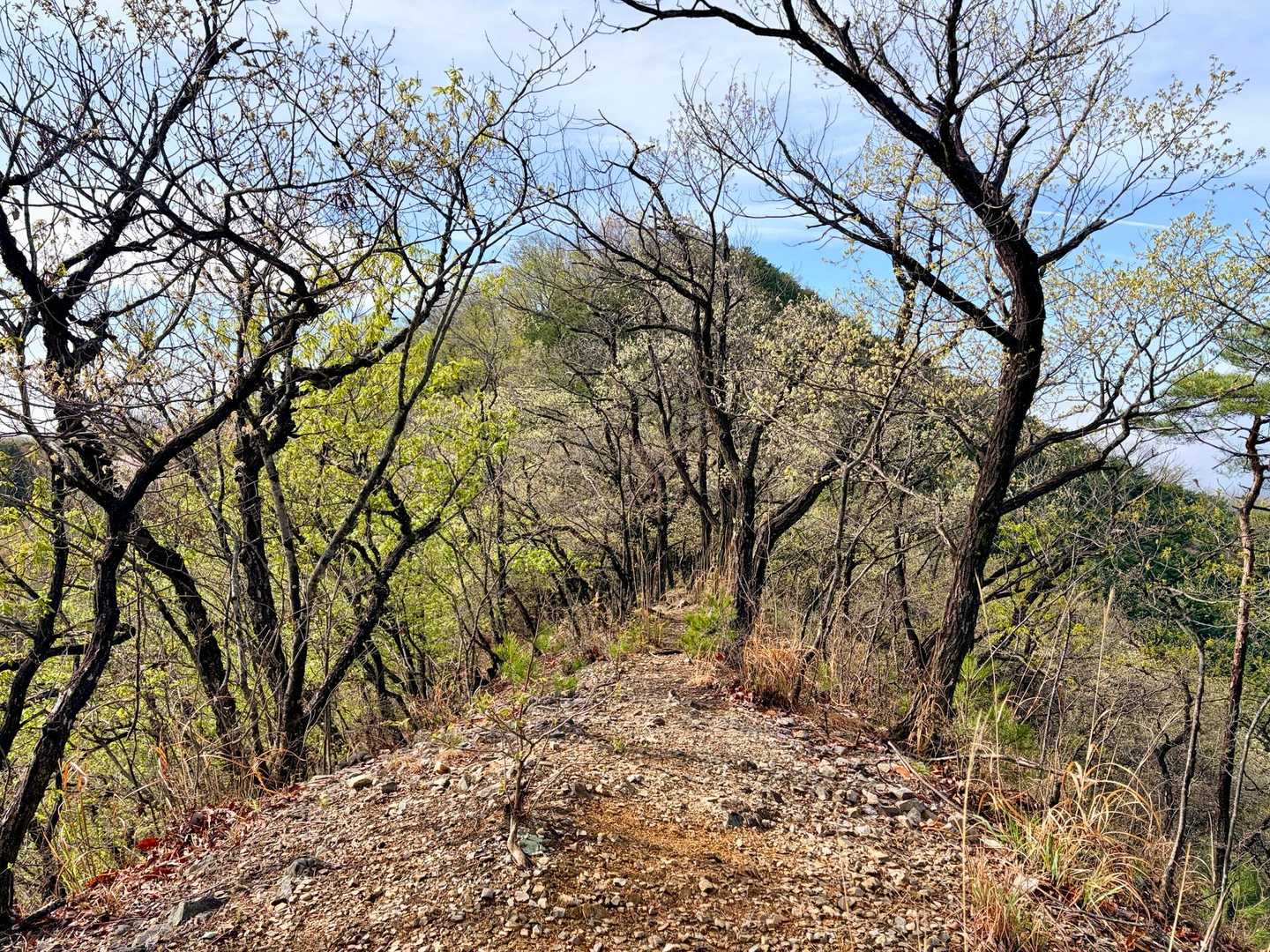 出尾根コース登山口-三床山-天ヶ岳-林山-金原山 周回コースの写真