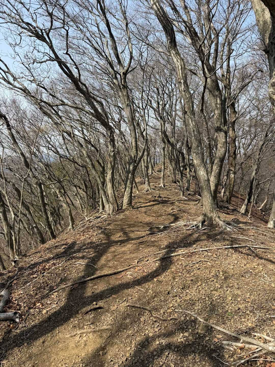 急なんです