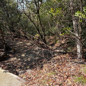 帰りは注意が必要