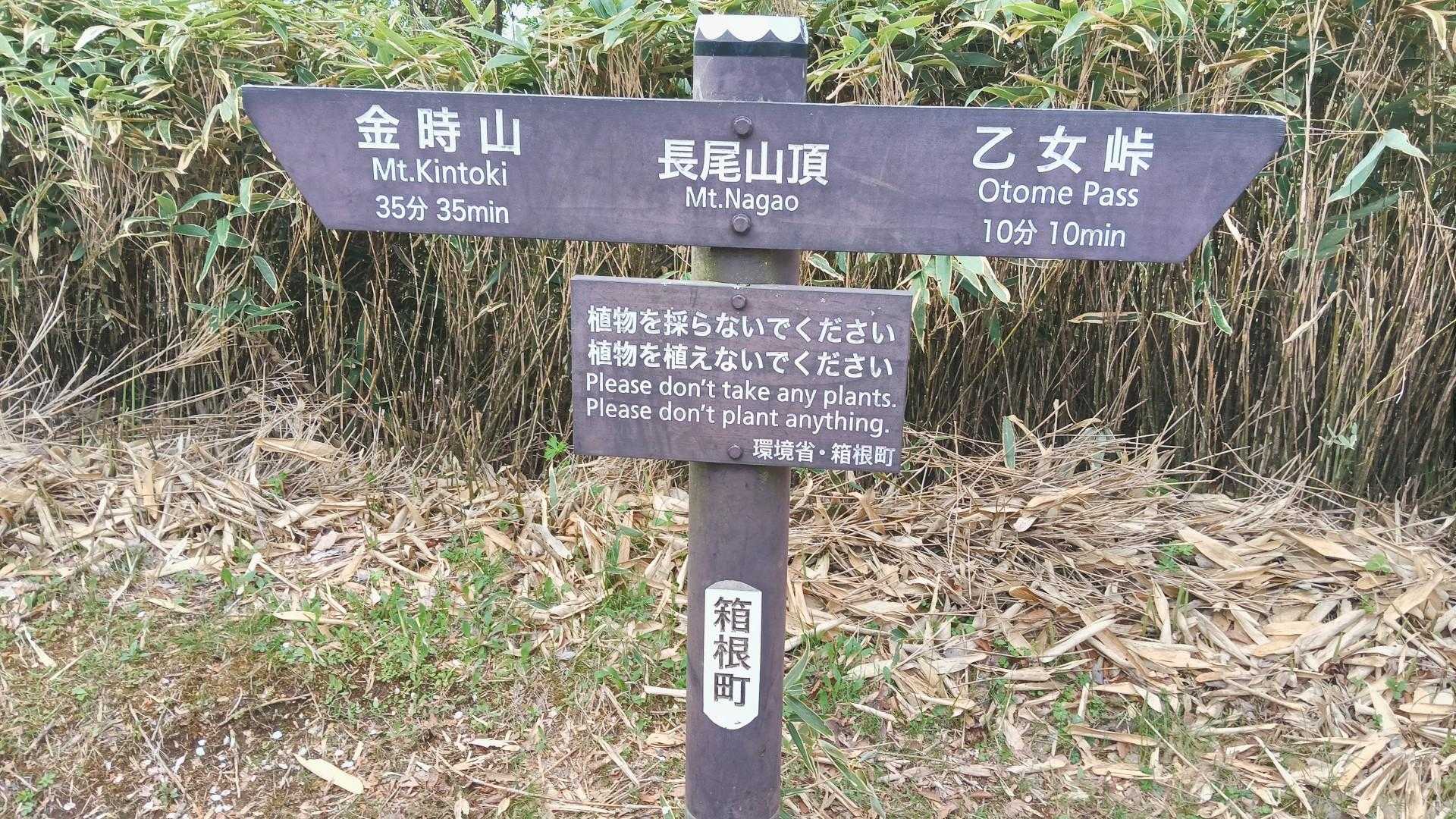 長尾山 山頂