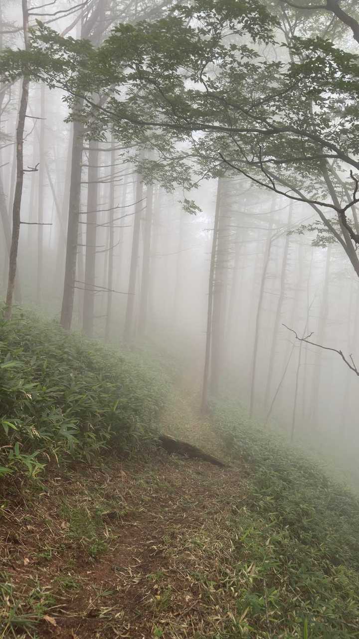 皇海山（鋸山周回）、日帰り最難関 の写真 40