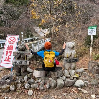 夫婦の間に割り込む🐻