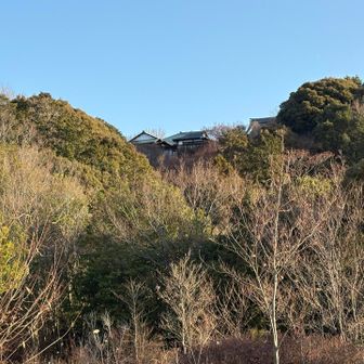 最高点のある瑞龍寺