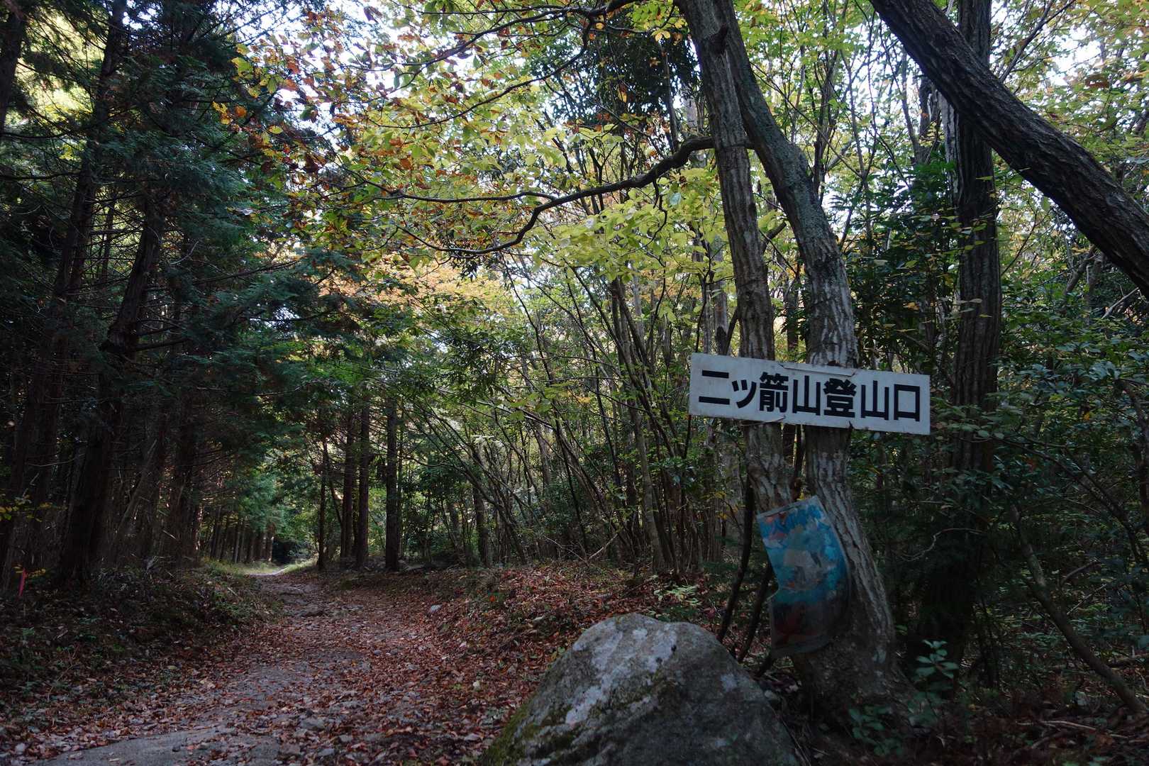 曇り空からスタート⛅️どん天気予報だと、朝から晴れるはずでした。