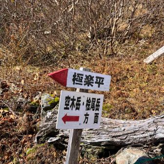 お初の山歩🚶‍➡️です