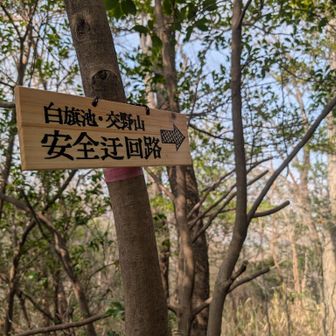 安全迂回路→行きます〜
