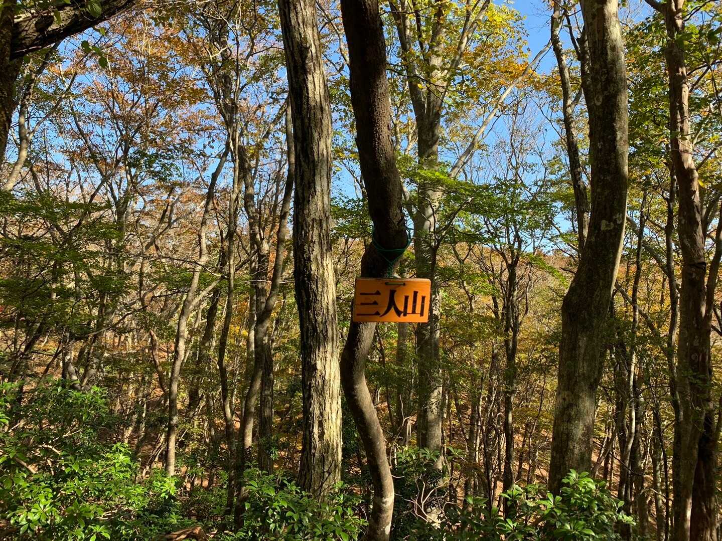 三人山の写真