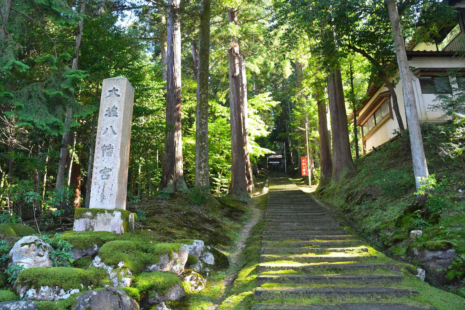 麓の大塩八幡宮を突き抜けて、矢谷山へ急斜面を登って行く。