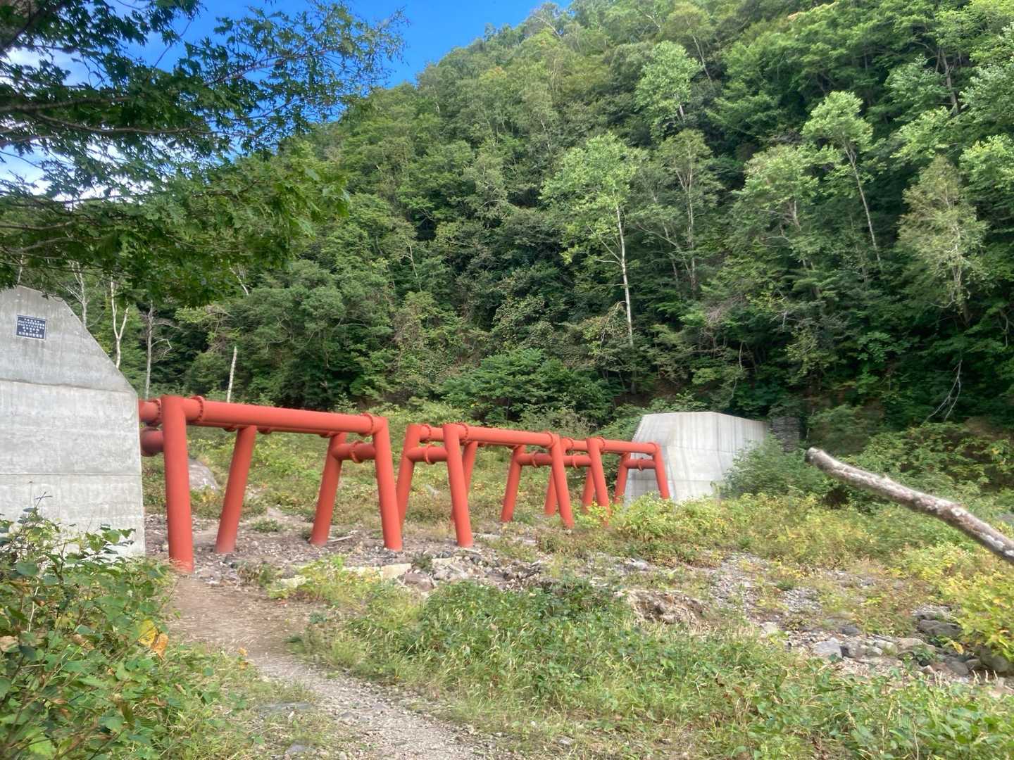 恵庭岳登山口-恵庭岳第二見晴台 往復コースの写真