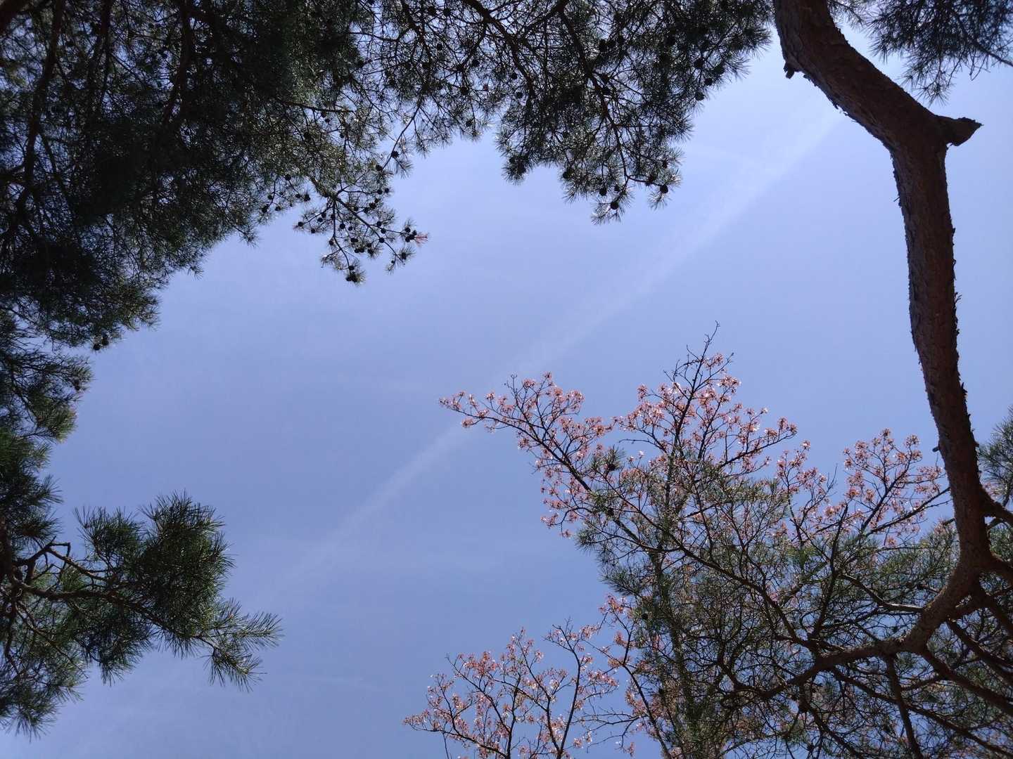 見上げるとカラフル〜😍