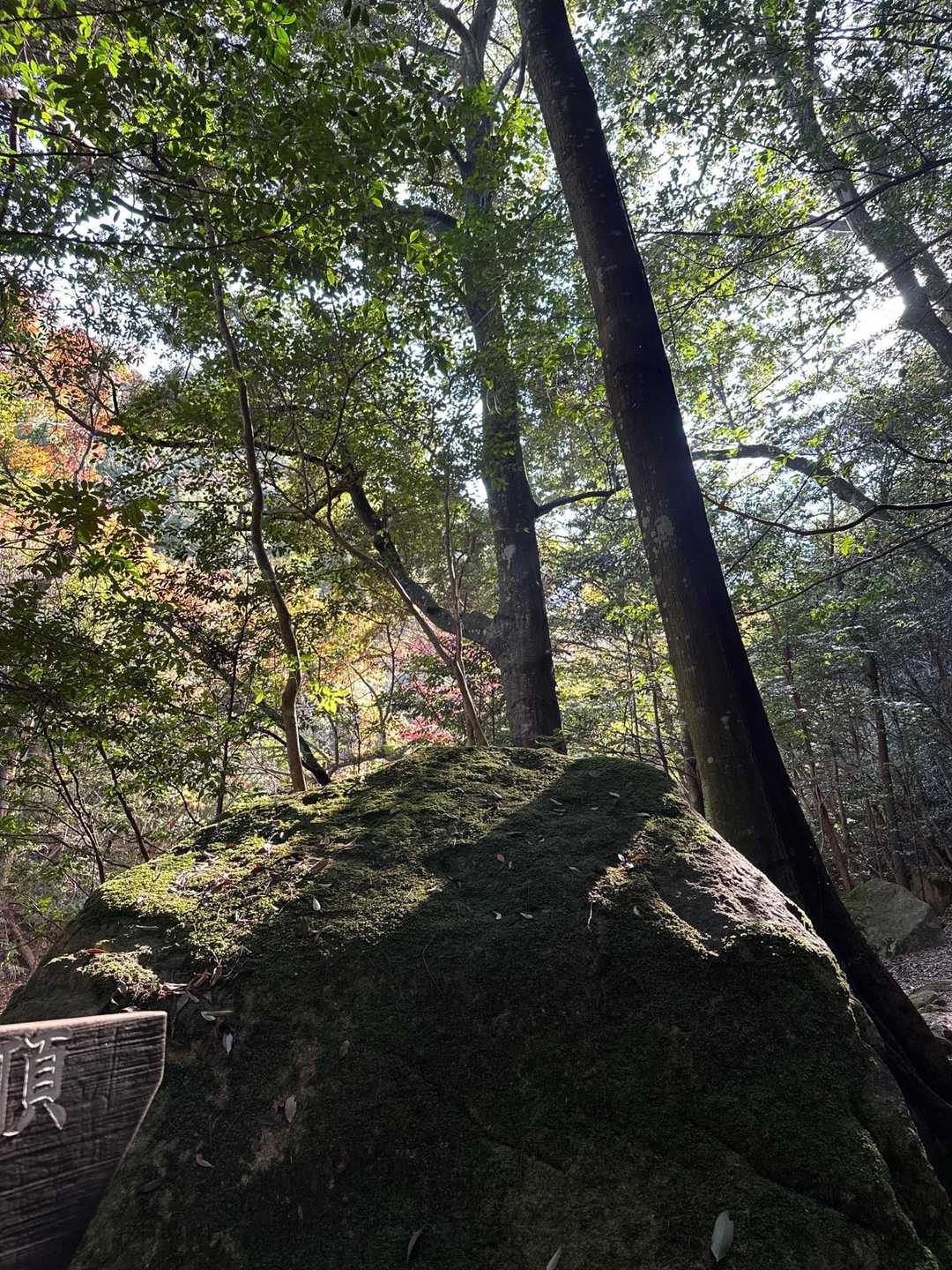 弥山登山道入口-弥山 往復コースの写真