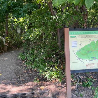 慈啓会登山口

登山口間違えた〜っ
今日は旭山からでした😅