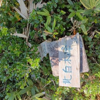 通過して戻って撮影