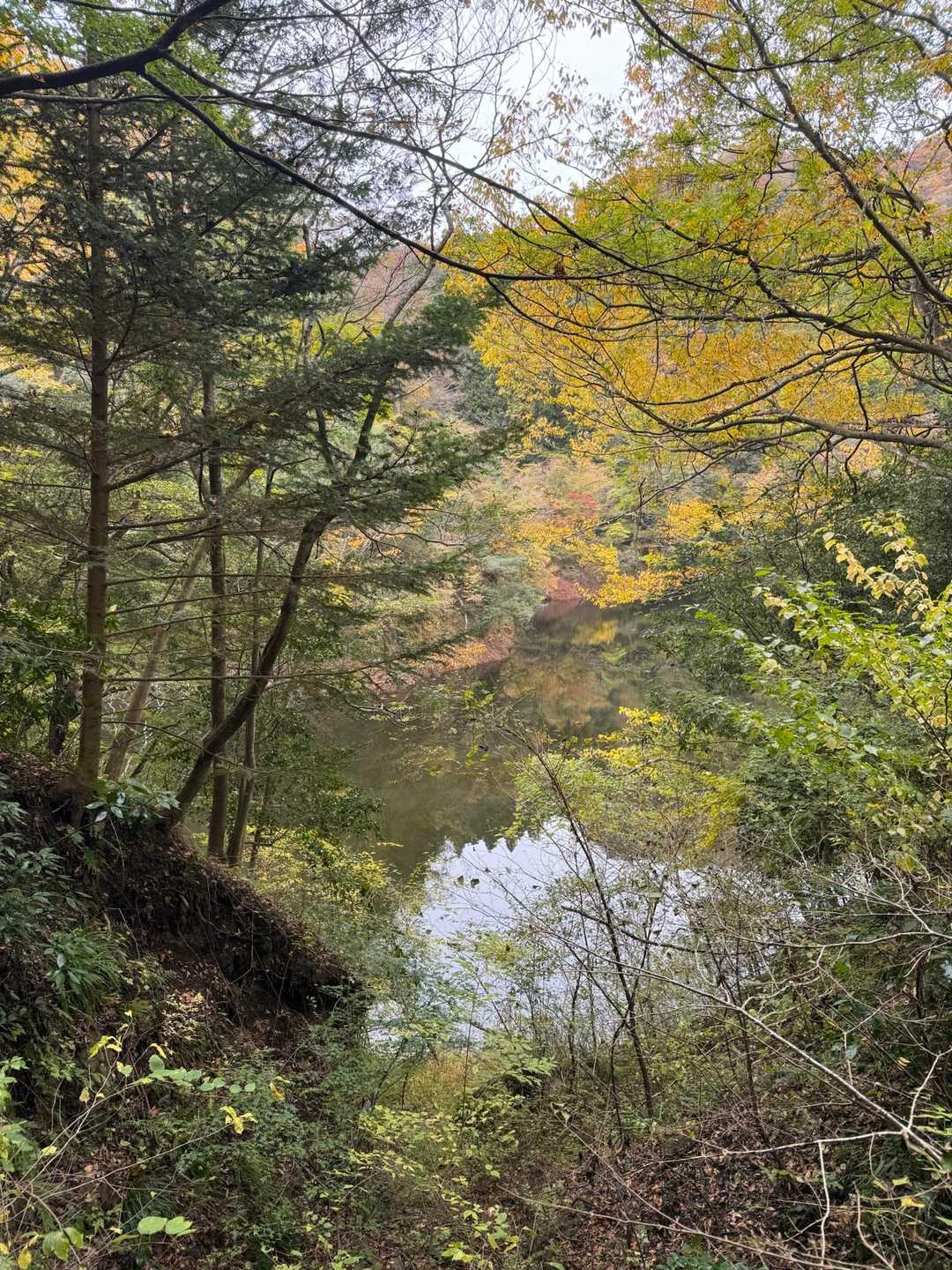 三葉峠-明山 往復コースの写真