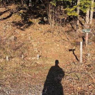 ここからようやく登山道スタートです
